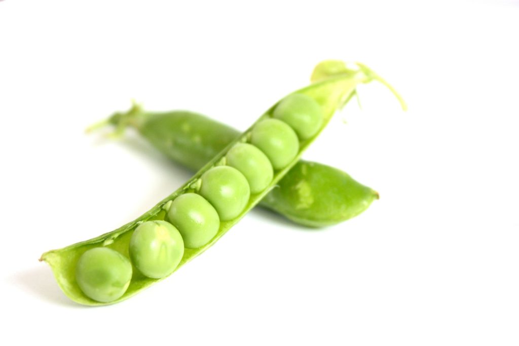 peas-16803_1920