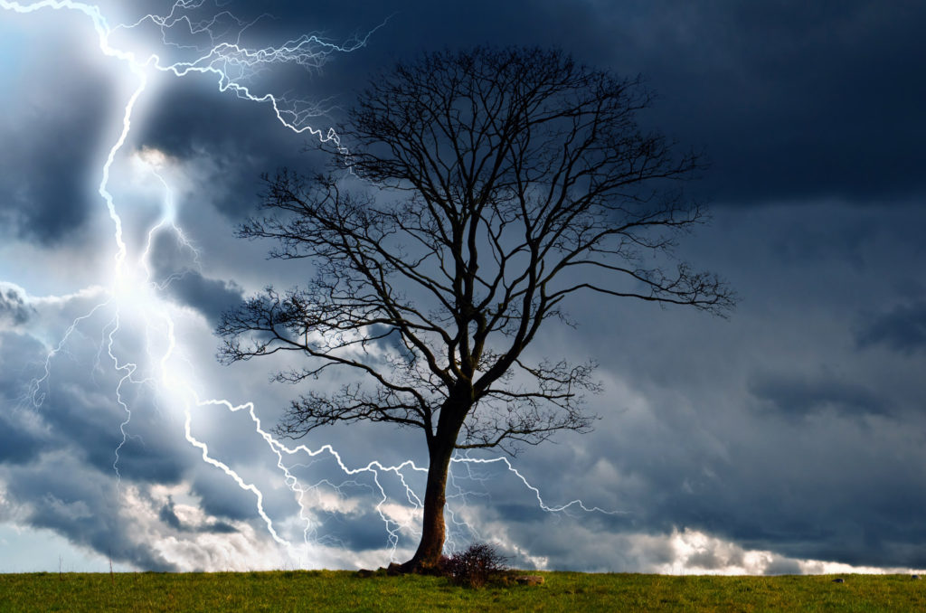 tree-and-storm-2
