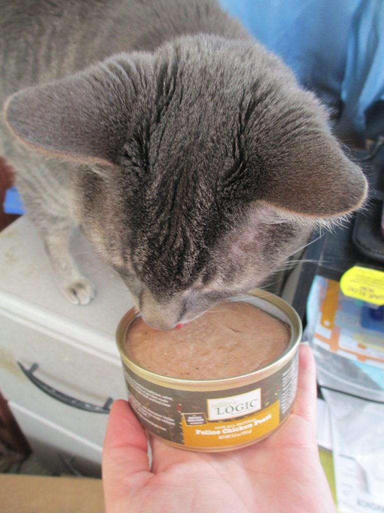 Nature's logic best sale canned cat food