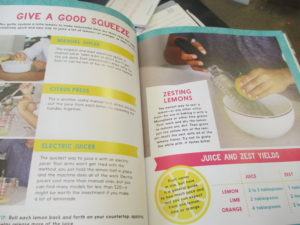 Lemonade Stand Cookbook