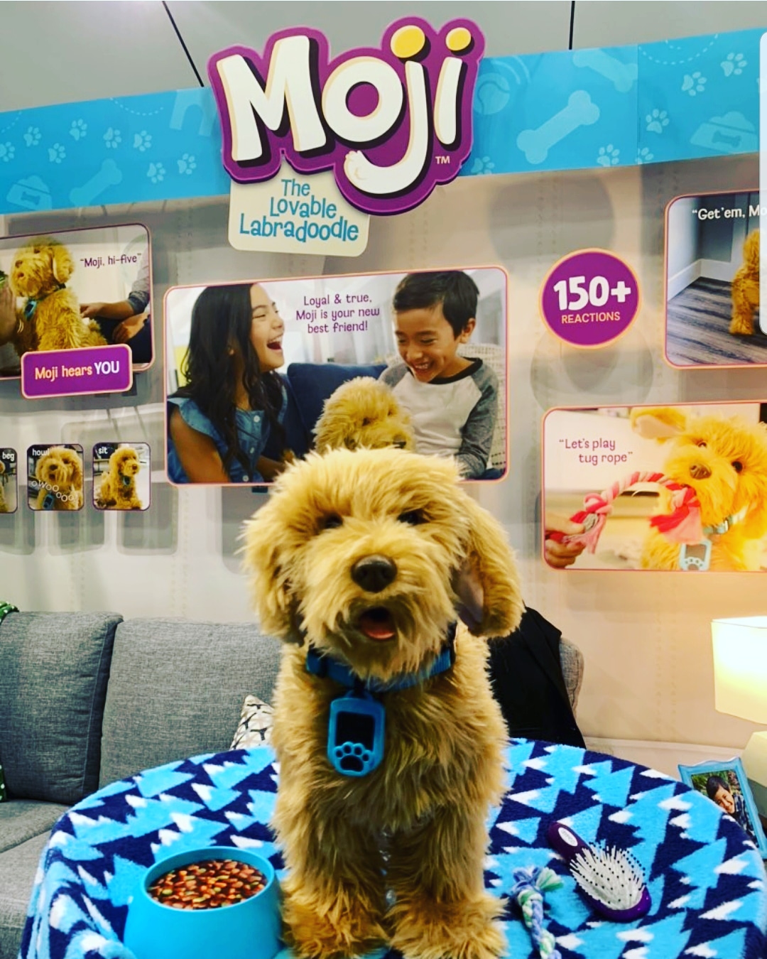 Skyrocket Moji The Lovable Labradoodle : Target